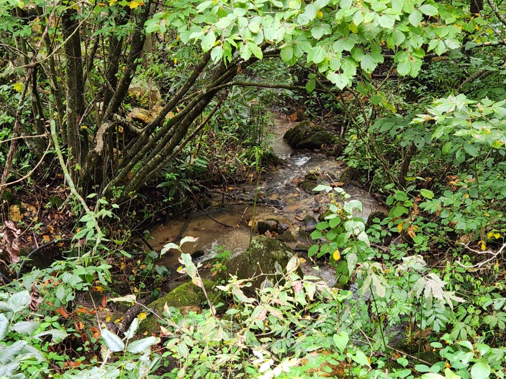 Western North Carolina land with water