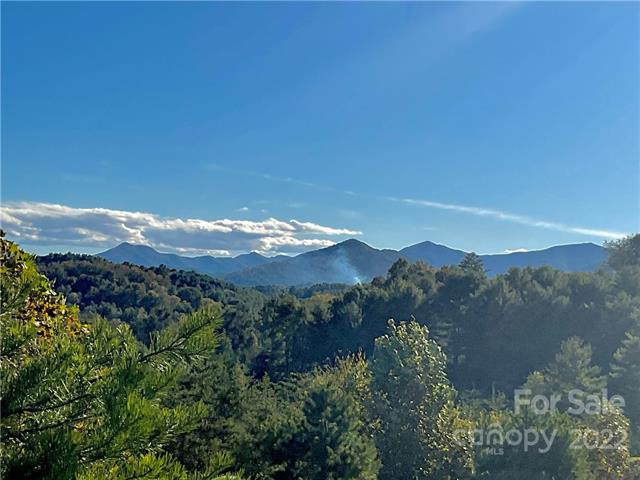 pocket neighborhood lots for sale near Asheville in Leicester NC