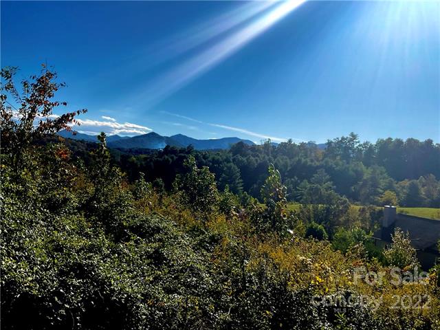 pocket neighborhood lots for sale near Asheville