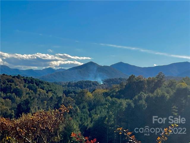 pocket neighborhood lots for sale near Asheville