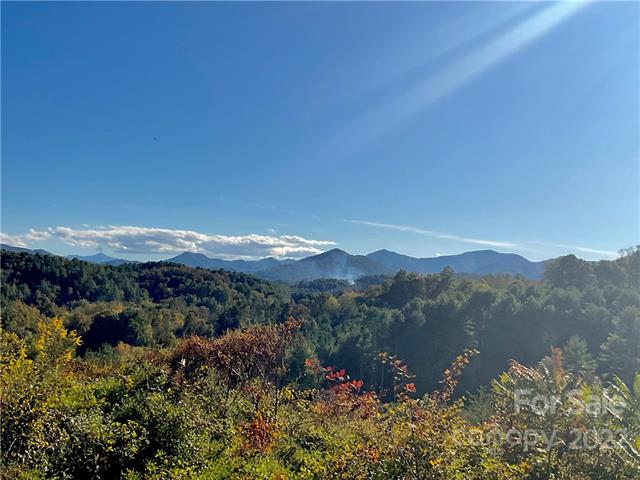 pocket neighborhood lots for sale near Asheville