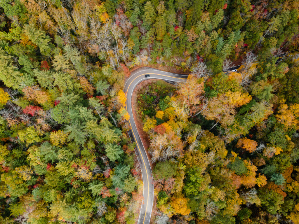 Harley Davidson of Asheville and the Blue Ridge Parkway