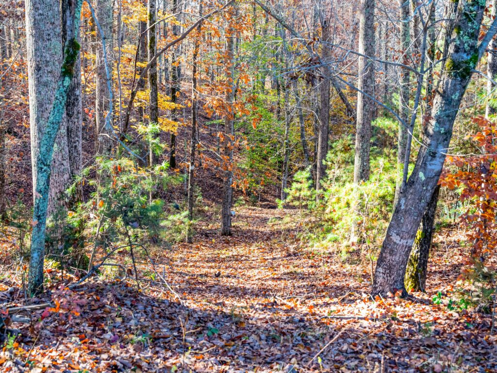 Tryon horse country land for sale