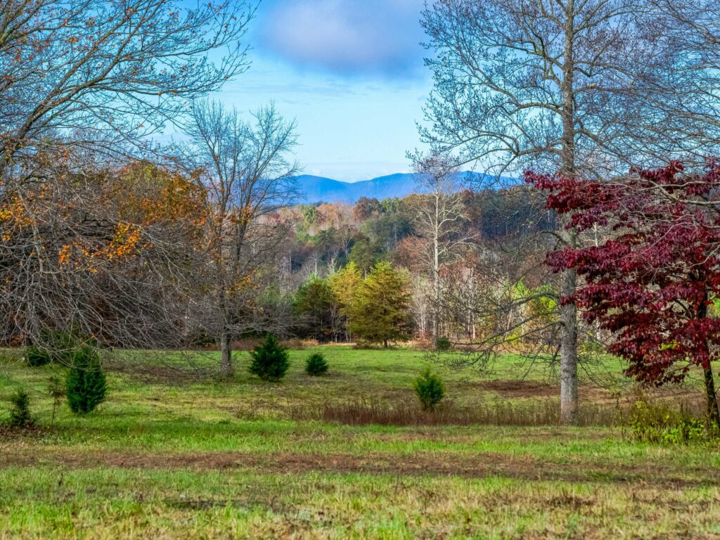 Tryon Equestrian Estate or Residential Land for Sale