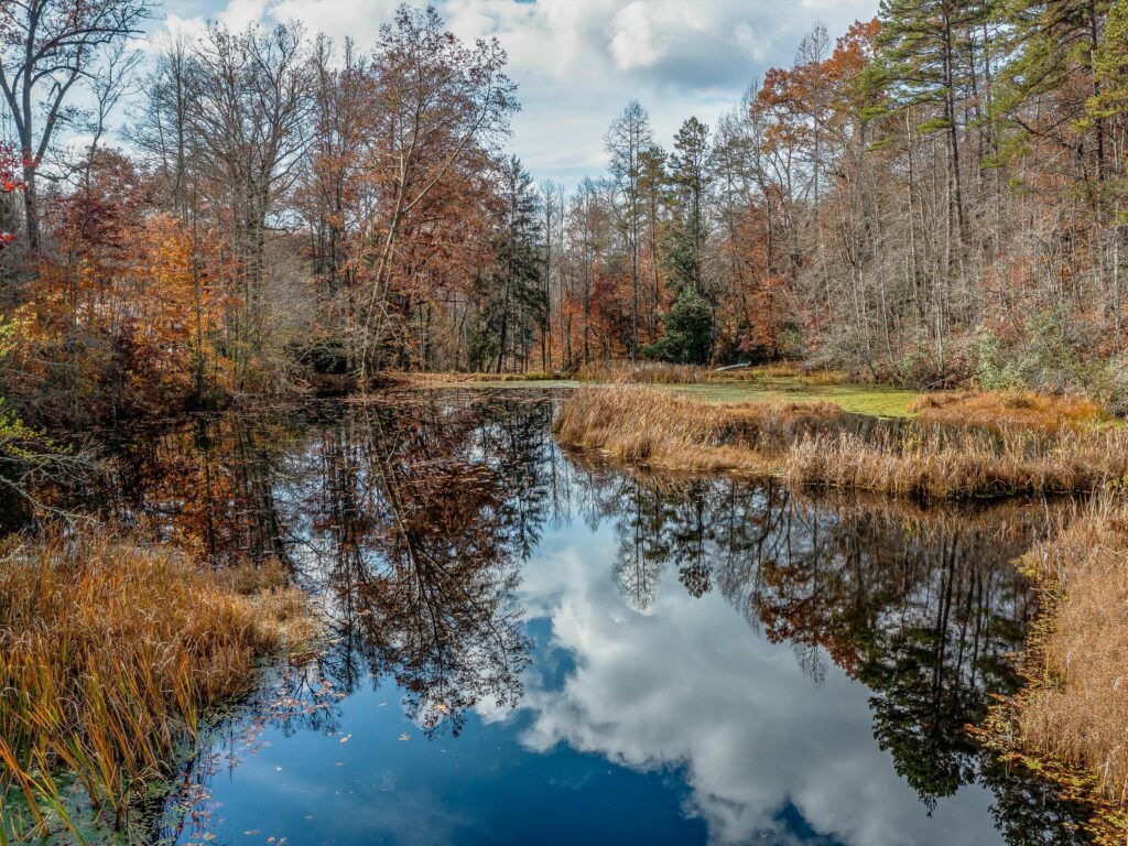 pond Land and home for sale in Bryson City