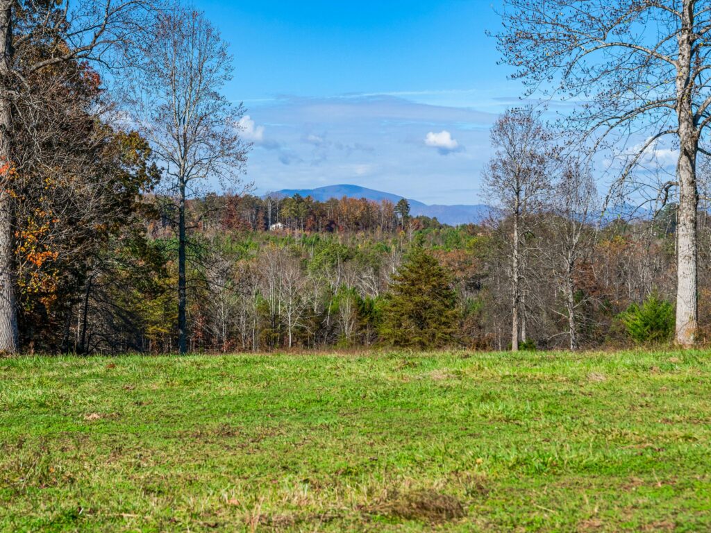 Tryon Equestrian Estate or Residential Land for Sale