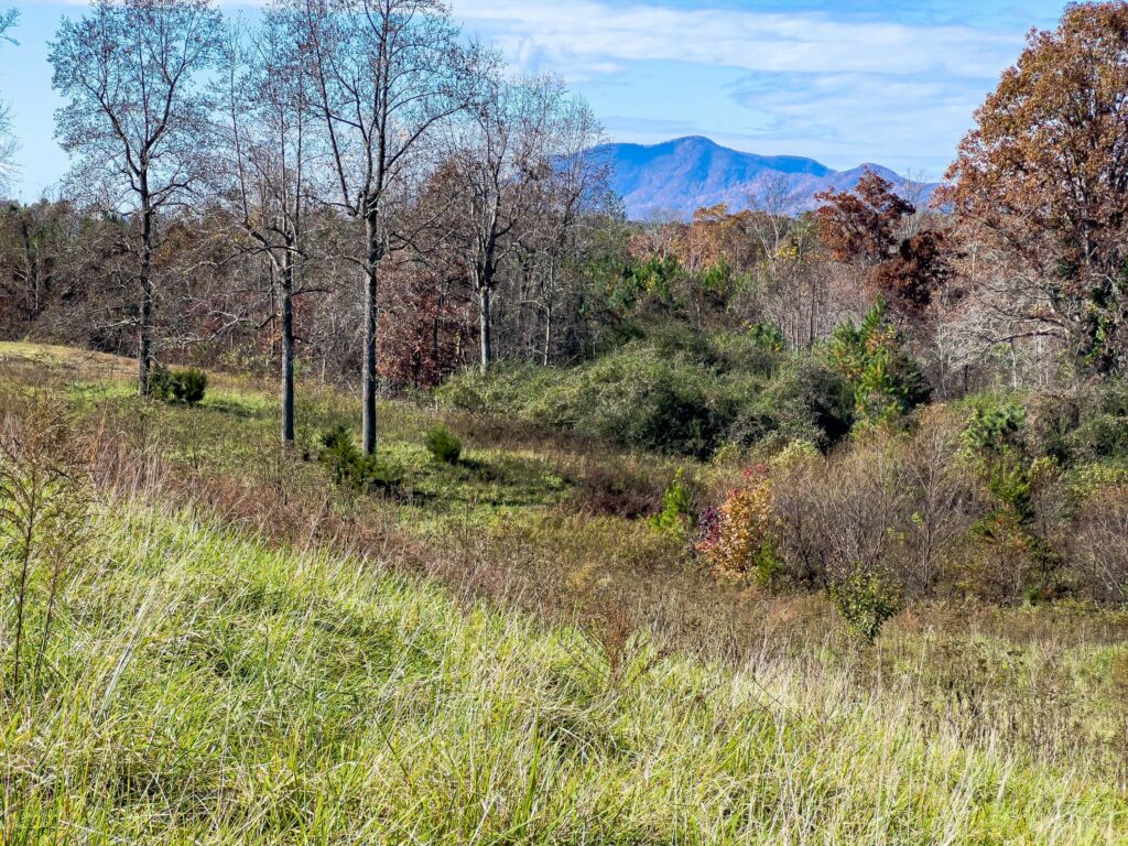 Tryon Equestrian Estate or Residential Land for Sale