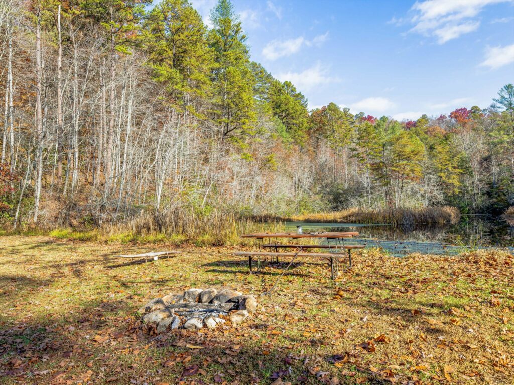 pond Land and home for sale in Bryson City