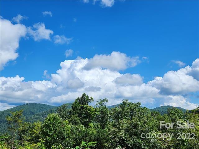 Hendersonville land for sale with views
