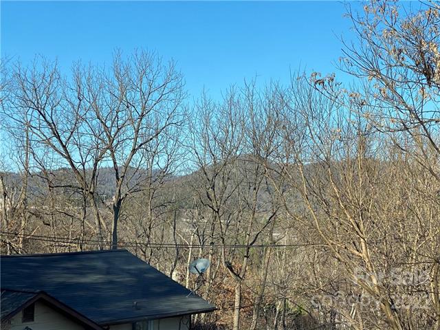 mountain views in Asheville's Oakley