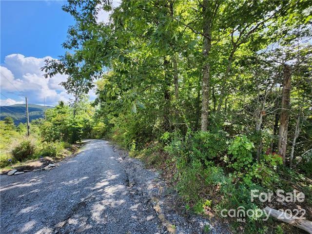 Hendersonville NC south-facing lots for sale