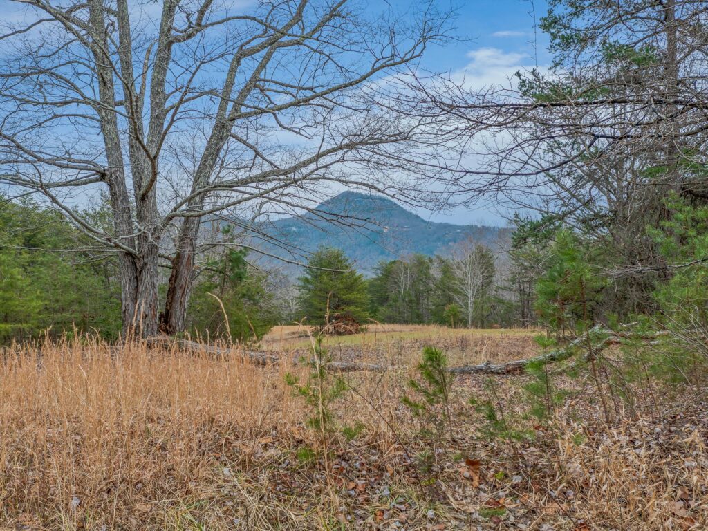 Lake Lure Land for Sale in Rumbling Bald Resort