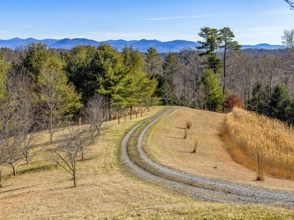 Land for Sale in Mars Hill NC