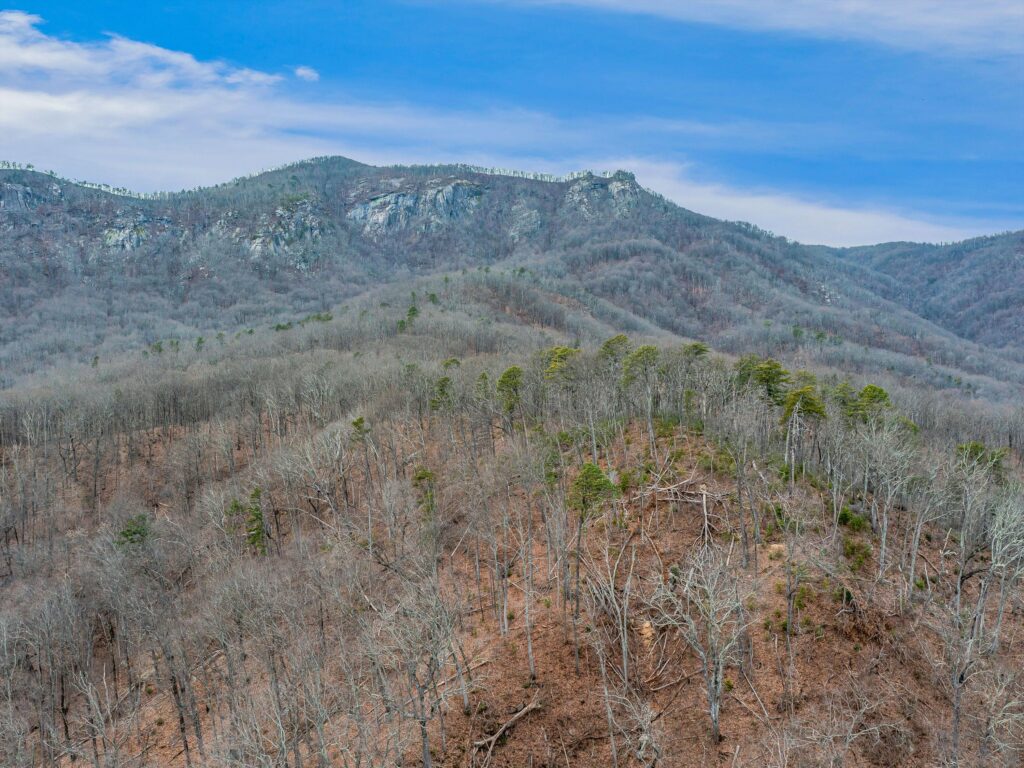 Lake Lure Land for Sale in Rumbling Bald Resort mountain Eagle Rock