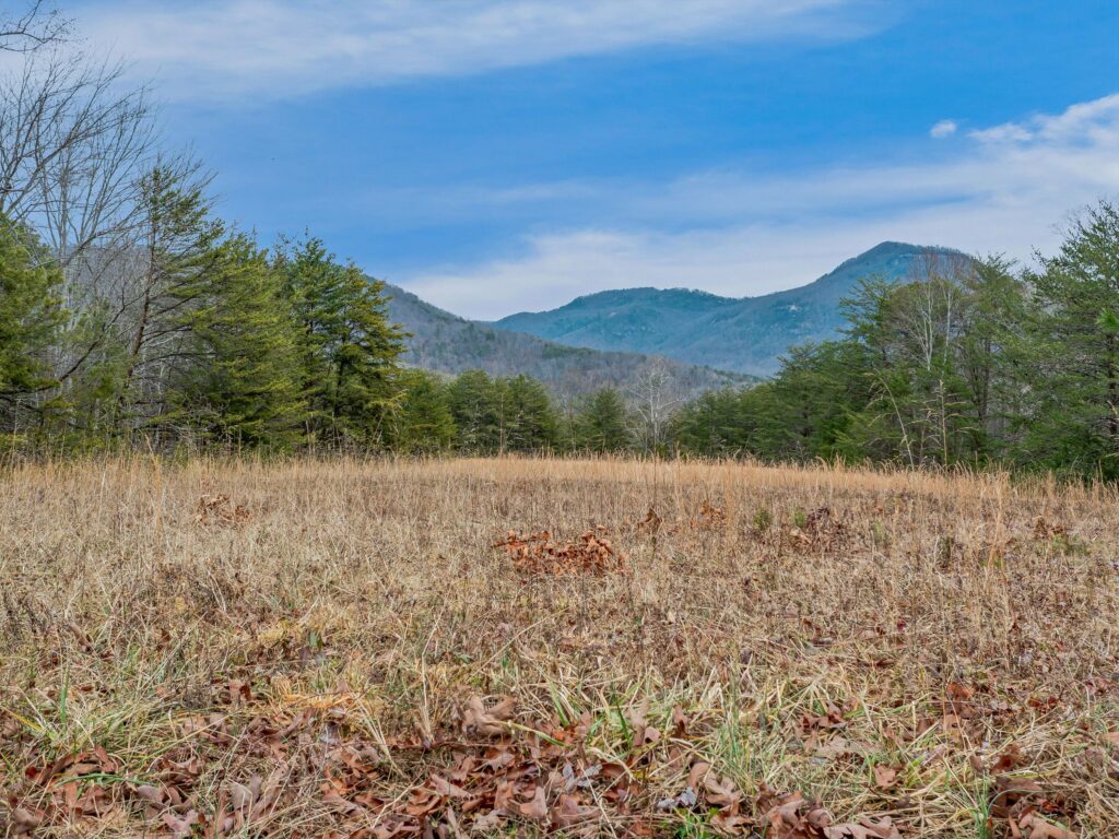 Lake Lure Land for Sale in Rumbling Bald Resort