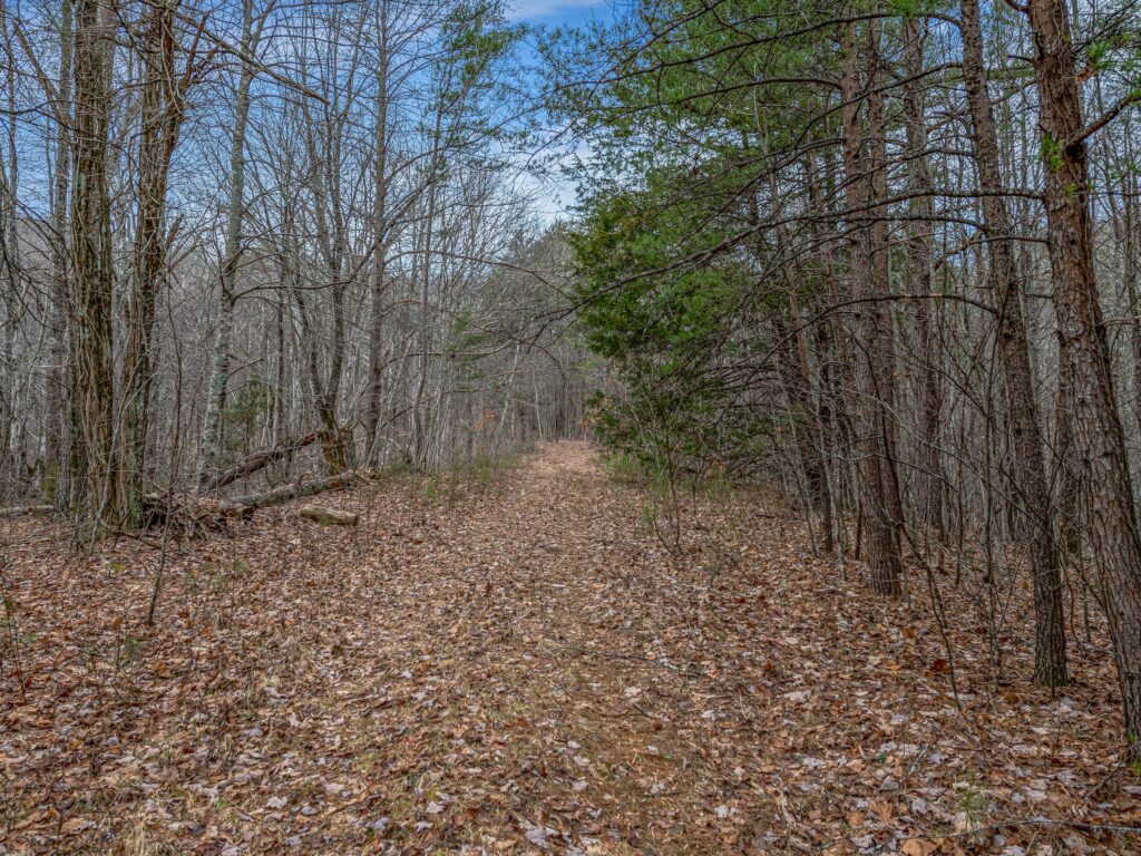 Lake Lure Land for Sale in Rumbling Bald Resort