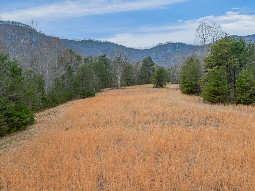 Lake Lure Land for Sale in Rumbling Bald Resort