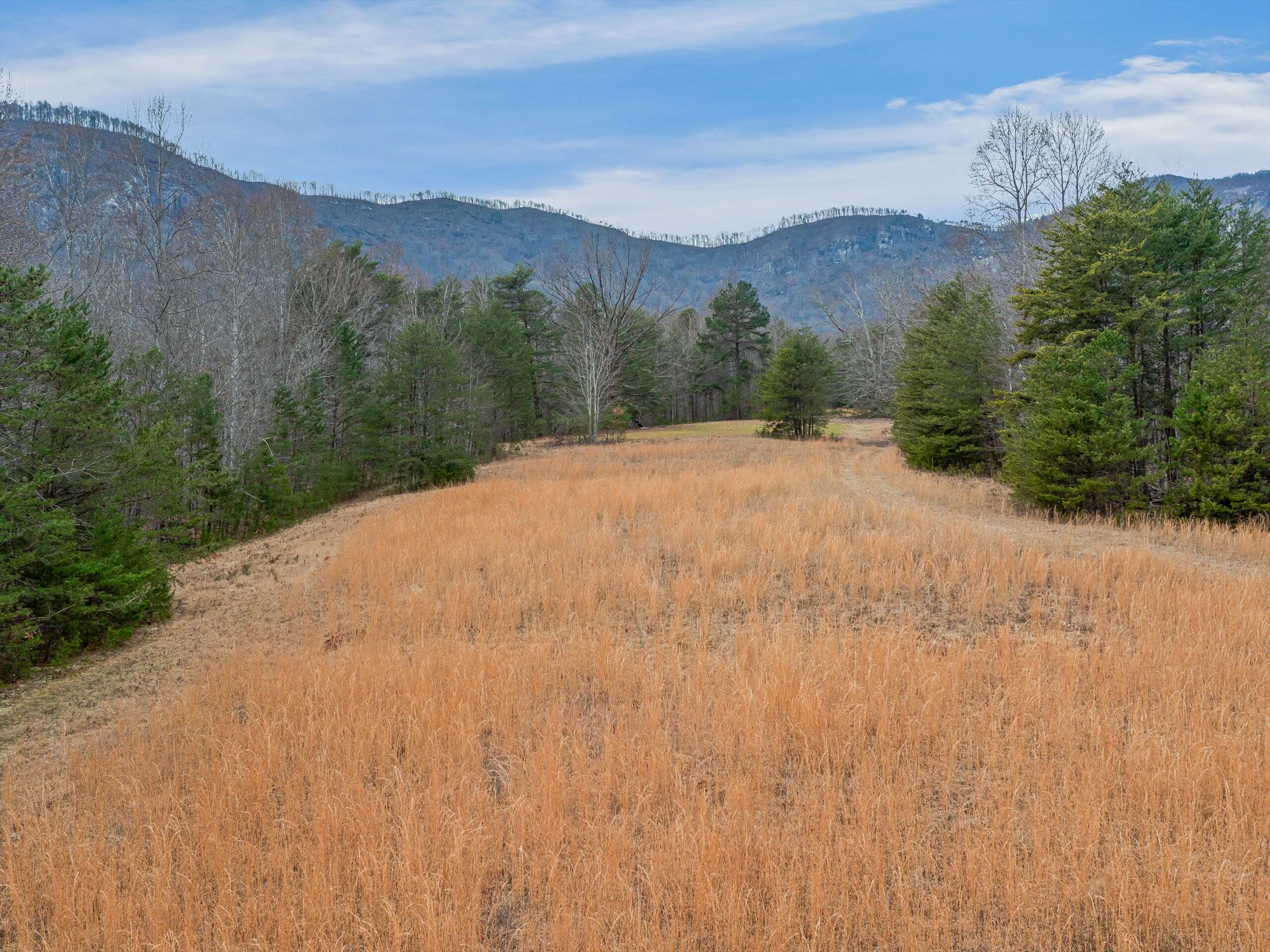 Lake Lure Land For Sale By Owner