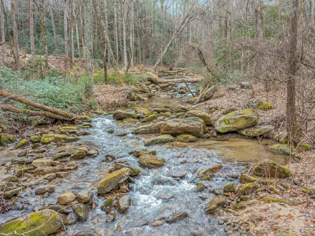 Lake Lure Land for Sale in Rumbling Bald Resort water