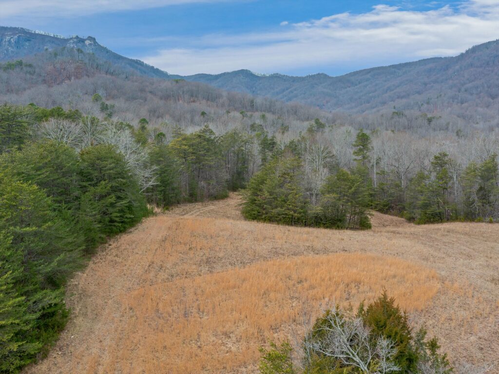 Lake Lure Land for Sale in Rumbling Bald Resort WNC mountains