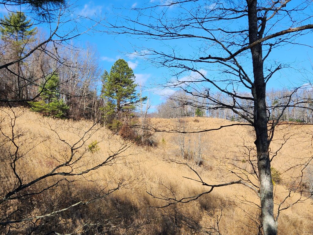 quality land for sale in Mars Hill NC