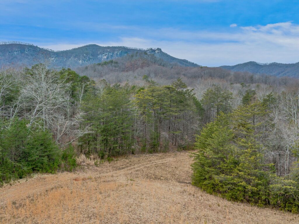 Lake Lure Land for Sale in Rumbling Bald Resort