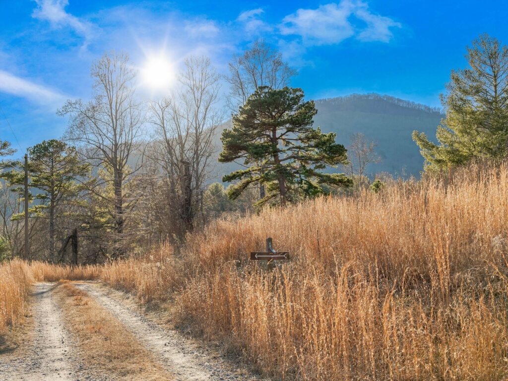 Mountain Homestead for Sale in Asheville's Riceville Area