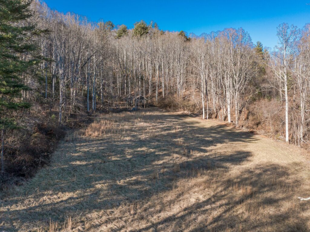 Mountain Homestead for Sale in Asheville's Riceville Area