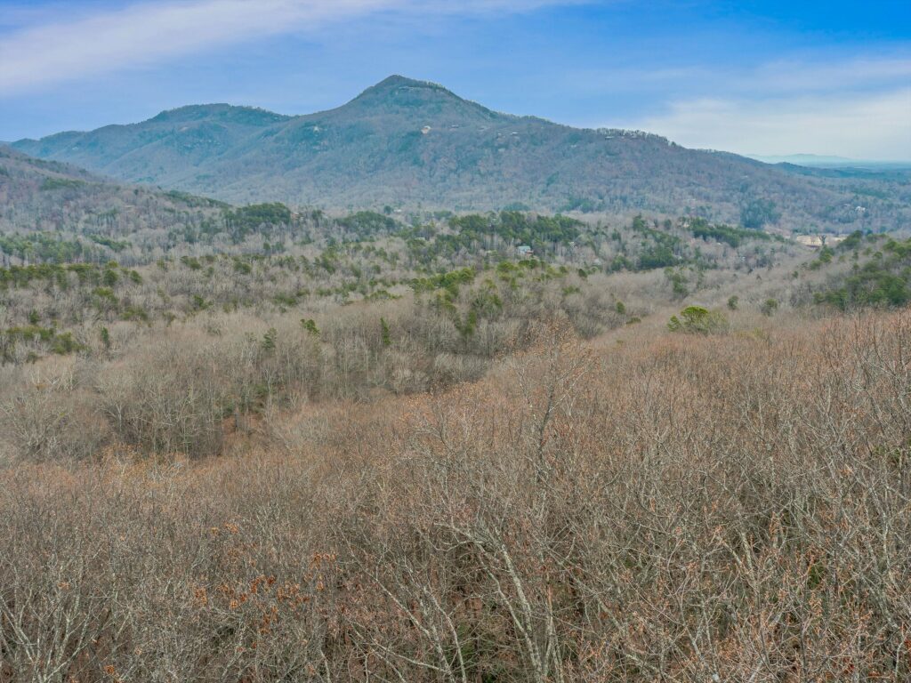 Lake Lure Land for Sale in Rumbling Bald Resort