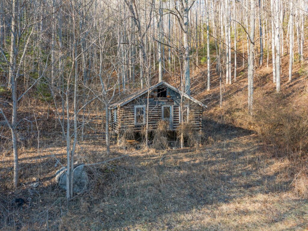 Mountain Homestead for Sale in Asheville's Riceville Area