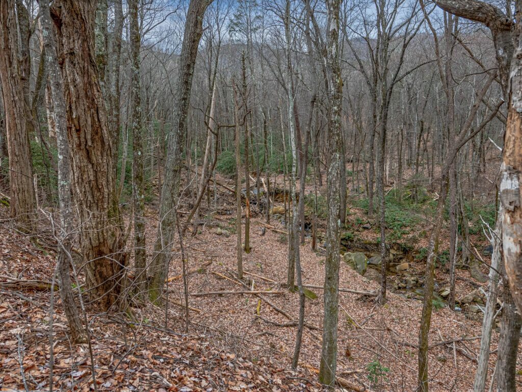 Lake Lure Land for Sale in Rumbling Bald Resort