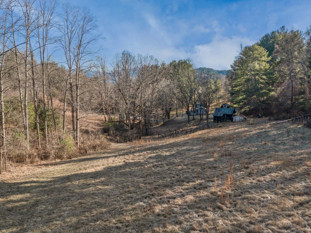 Mountain Homestead for Sale in Asheville's Riceville Area acreage