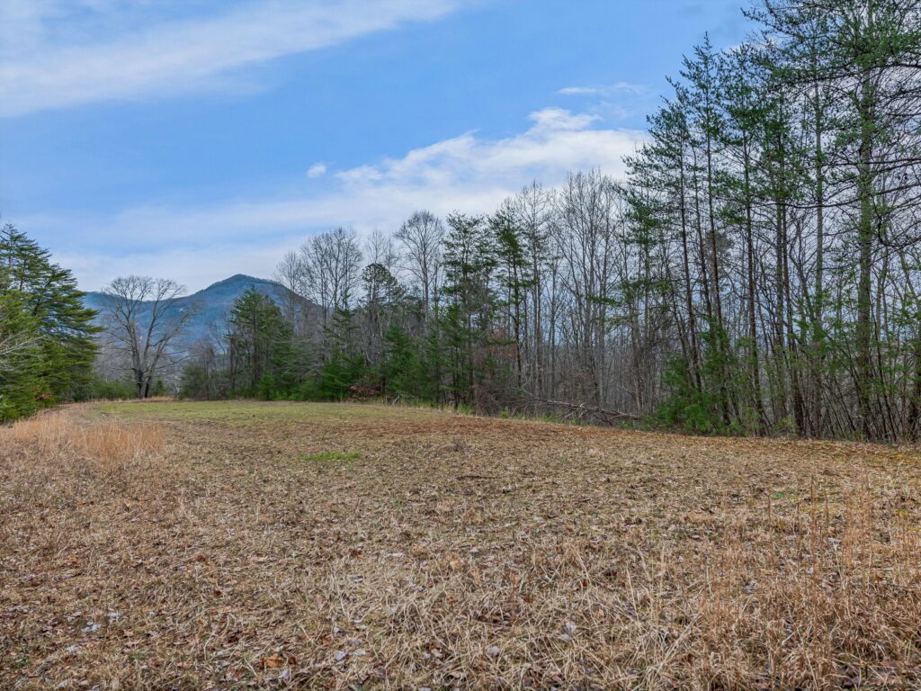 Lake Lure Land for Sale in Rumbling Bald Resort