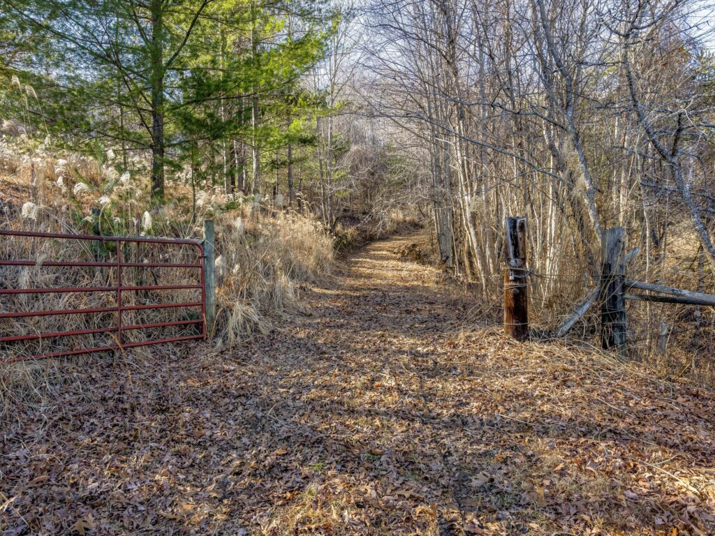 Land for Sale in Mars Hill NC