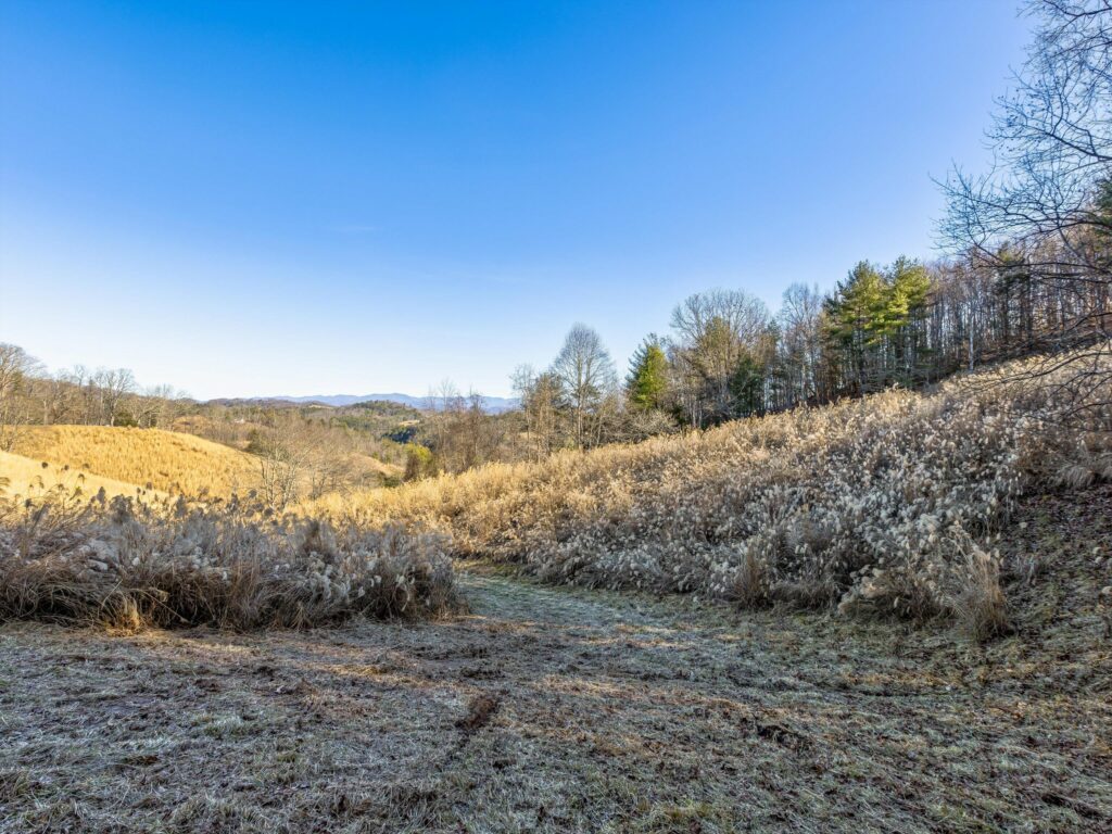 Land for Sale in Mars Hill NC