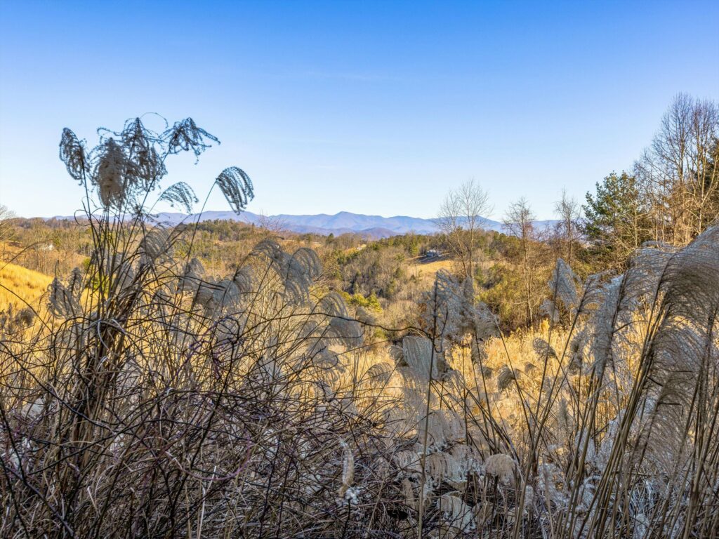 Land for Sale in Mars Hill NC with mountain views