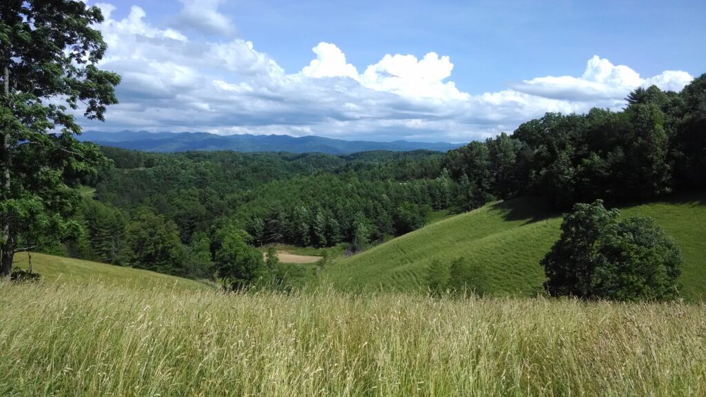 Land for Sale in Mars Hill NC with mountain views