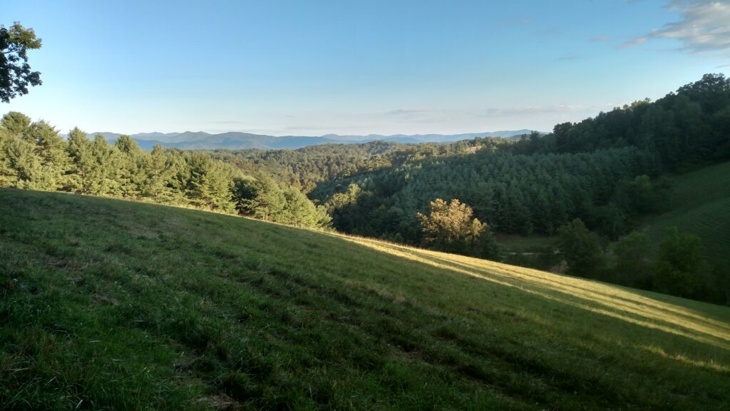 quality land for sale in Mars Hill NC