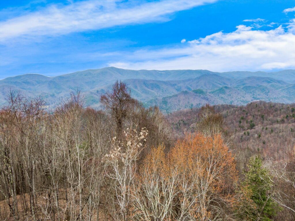 Incredible Large Acreage Mountain Land for Sale