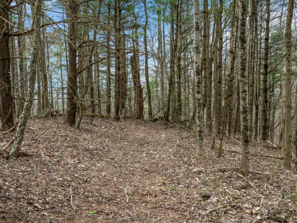 Incredible Large Acreage Mountain Land for Sale