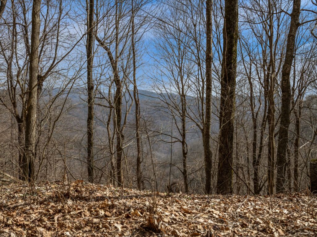 Marshall NC mountain land for sale with views