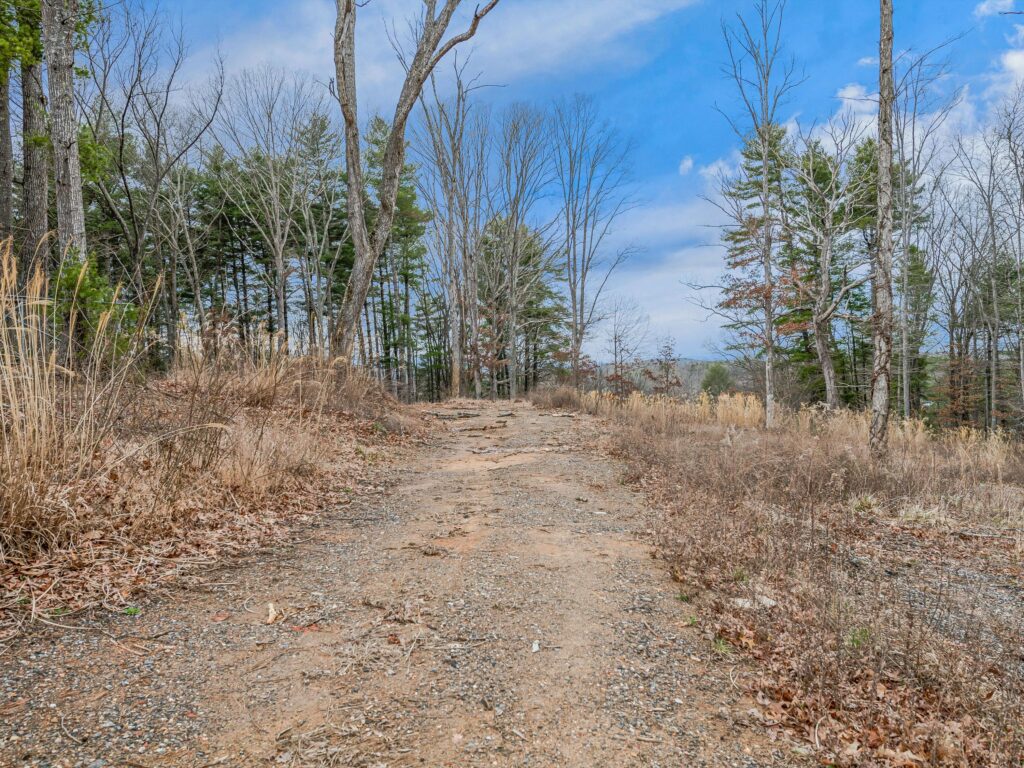 Asheville Land Prime for Development or Private Estate with mountain views