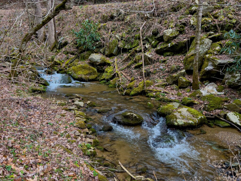 Western NC mountain land for sale with creek