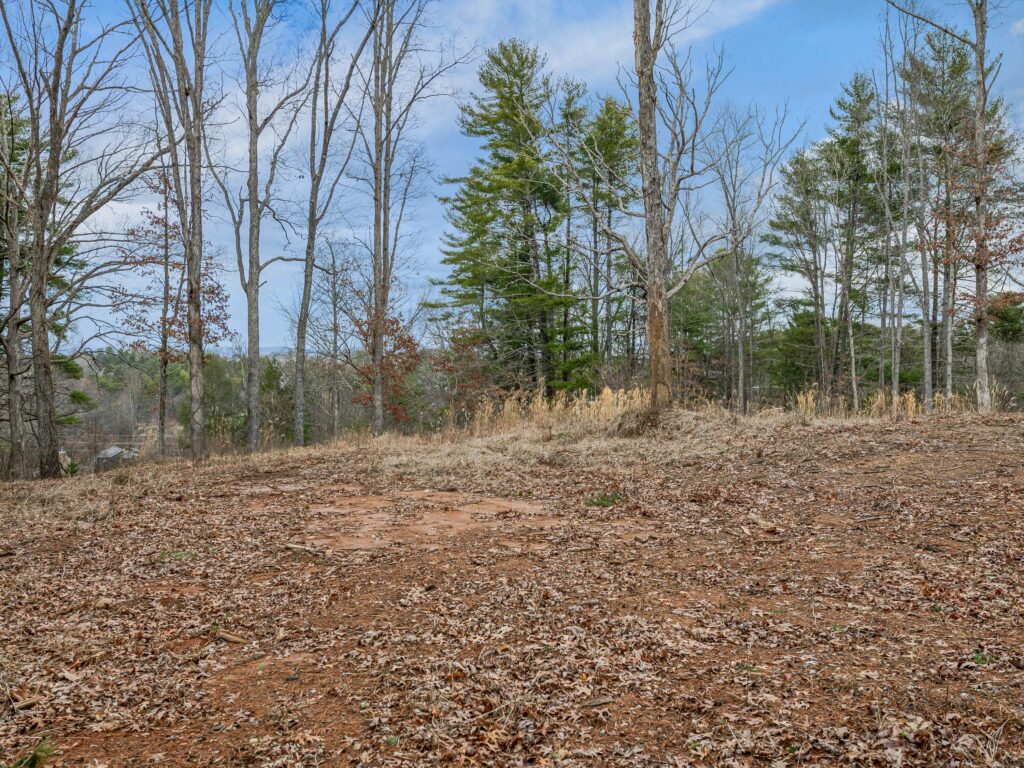 Asheville Land Prime for Development or Private Estate with views