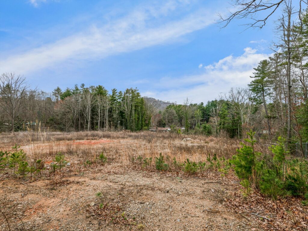 Asheville Land Prime for Development or Private Estate