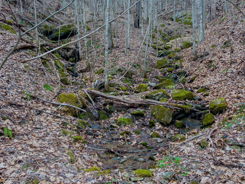 creek on Western NC investment land for sale