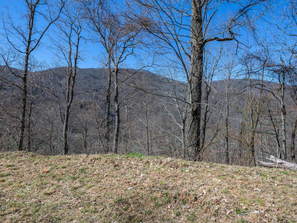 lots for sale in gated Asheville community mountain views