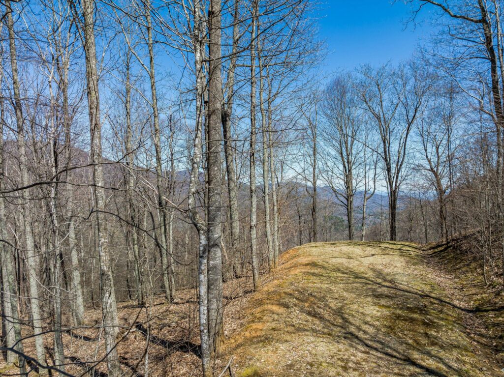 lots for sale in gated Asheville community mountain views