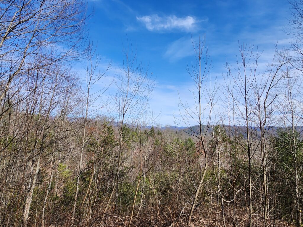 Lot for Sale in Firefly Mountain Community in Marshall, NC near Hot Springs with views