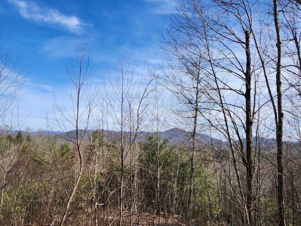 Lot for Sale in Firefly Mountain Community in Marshall, NC near Hot Springs